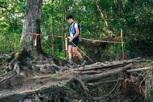 BIB: 
                            <button type="button" onclick="openModal(27545354)" class="btn btn-primary btn-sm float-right btn-popup" data-toggle="modal" data-target=".modal-high-quality">
                        <i class="fas fa-shopping-cart"></i> Add to Cart
                    </button>
                                            <button type="button" onclick="isThisMe(27545354, true)" class="btn btn-success btn-sm float-right btn-popup btn-isme hidden" data-toggle="tooltip" data-placement="bottom" title="นี่คือรูปของคุณใช่ไหม คลิกที่นี่เพื่อเอาเข้าอัลบั้ม">
                        <i class="fas fa-plus"></i> Add to album
                    </button>
                    <button type="button" onclick="isThisMe(27545354, false)" class="btn btn-warning btn-sm float-right btn-popup btn-isnotme hidden">
                        <i class="fas fa-ban"></i> Remove from album
                    </button>